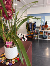 Charger l&#39;image dans la galerie, Dessous de plats / centre de table